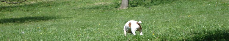 Cost-free black live homosexual black fuck 1 on 1 header image 2 Cost-free black live homosexual black fuck 1 on 1 header image 2